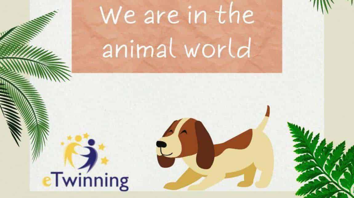 Okulumuzun eTwinning Projesi: We are in the animal world: Hayvanların dünyasındayız